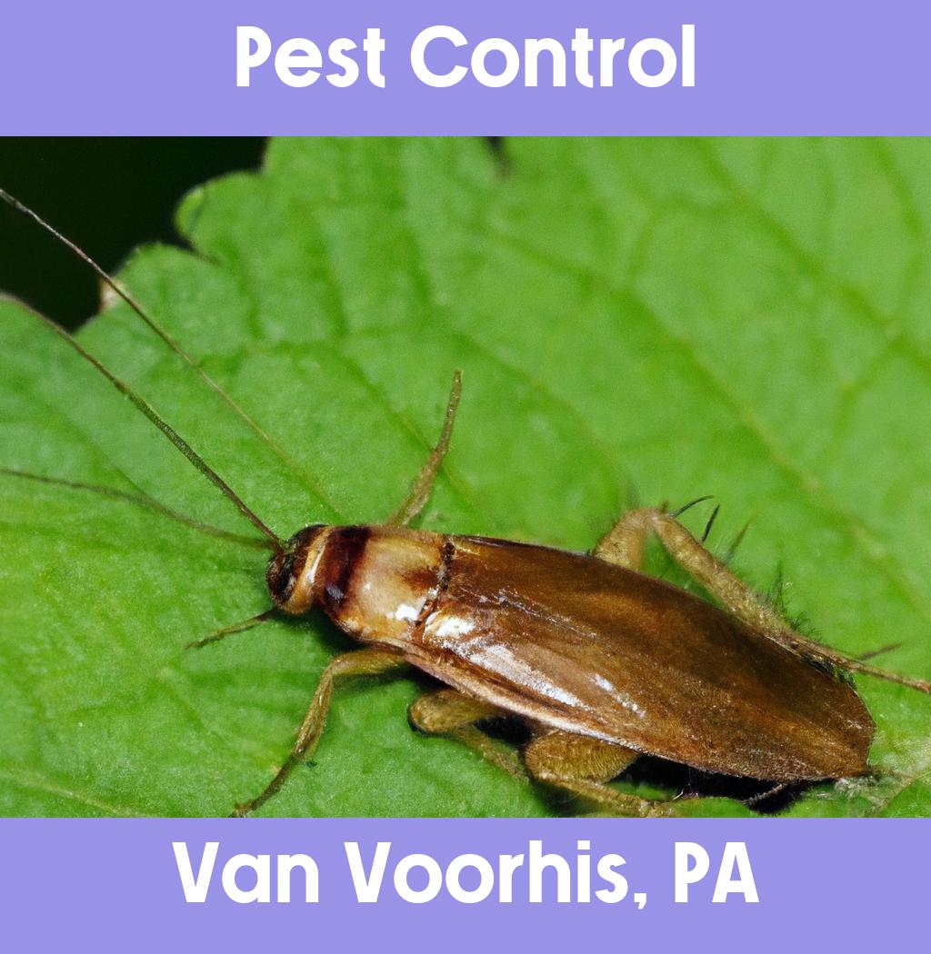 pest control in Van Voorhis Pennsylvania