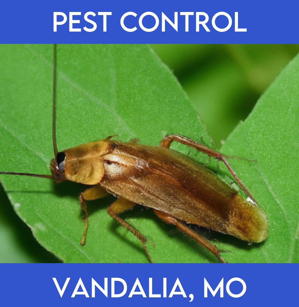 pest control in Vandalia Missouri