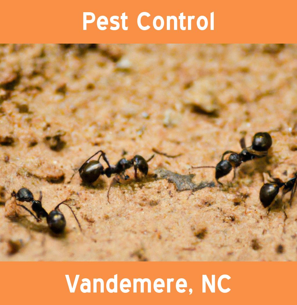 pest control in Vandemere North Carolina