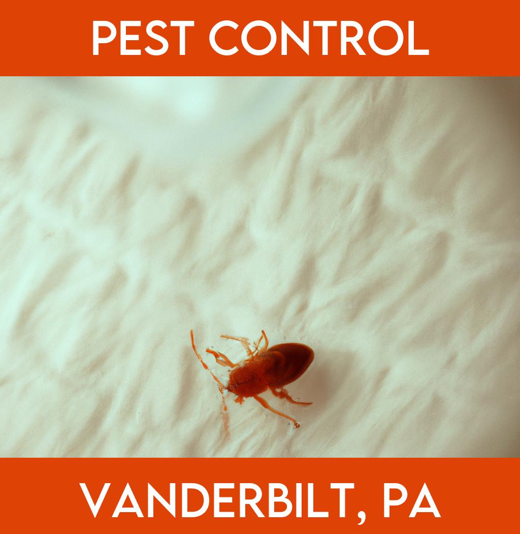 pest control in Vanderbilt Pennsylvania