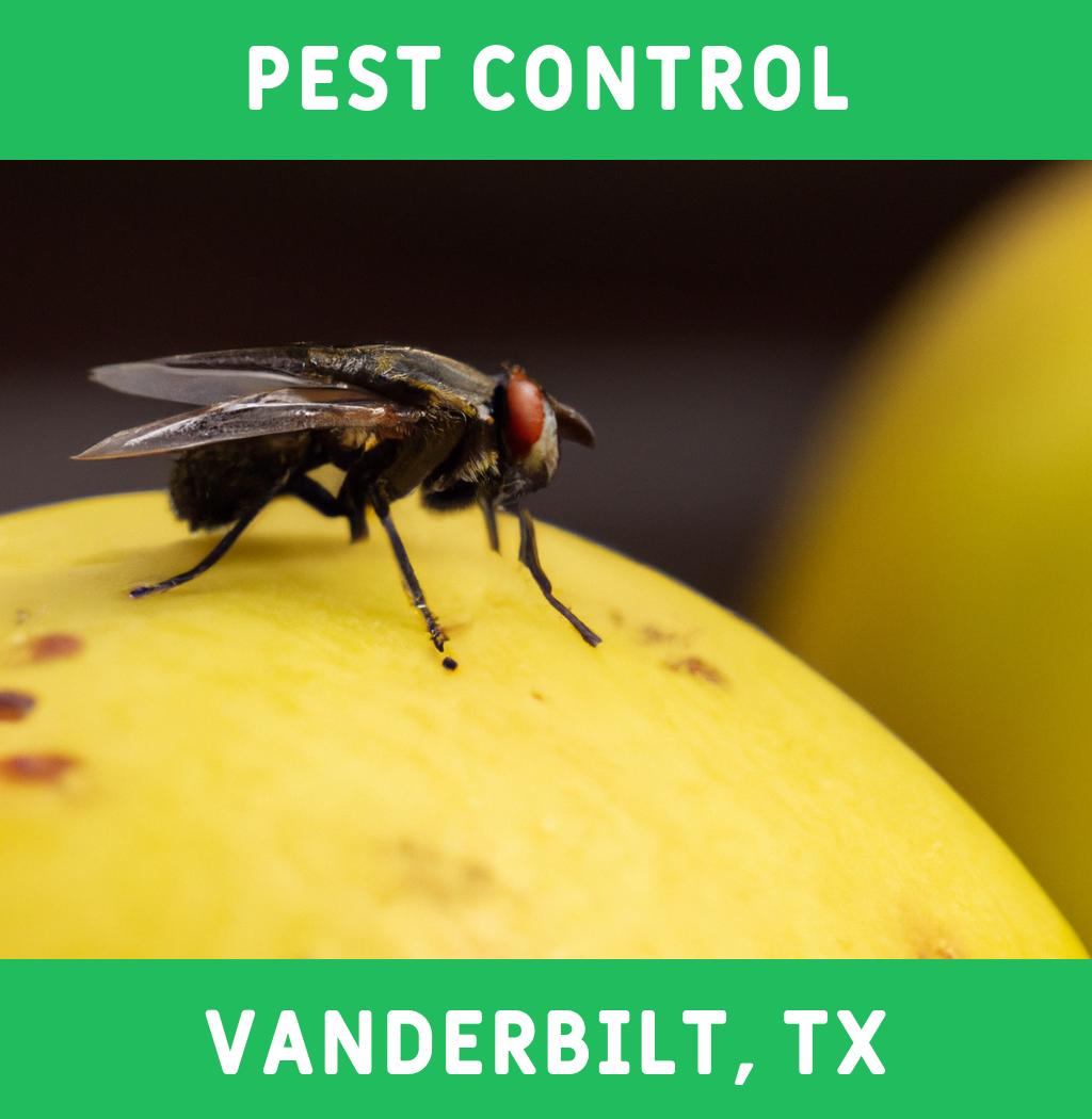 pest control in Vanderbilt Texas