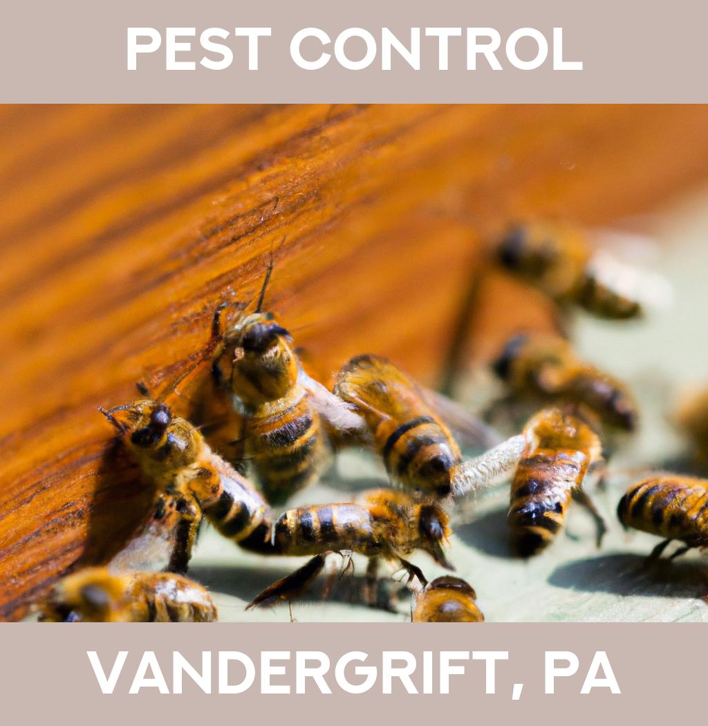 pest control in Vandergrift Pennsylvania