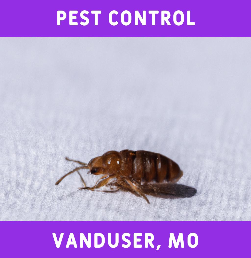 pest control in Vanduser Missouri