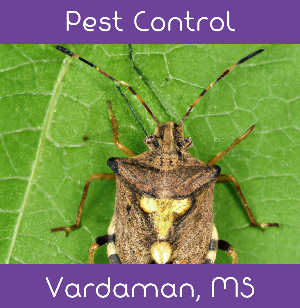 pest control in Vardaman Mississippi