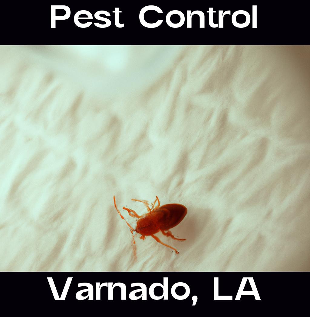 pest control in Varnado Louisiana
