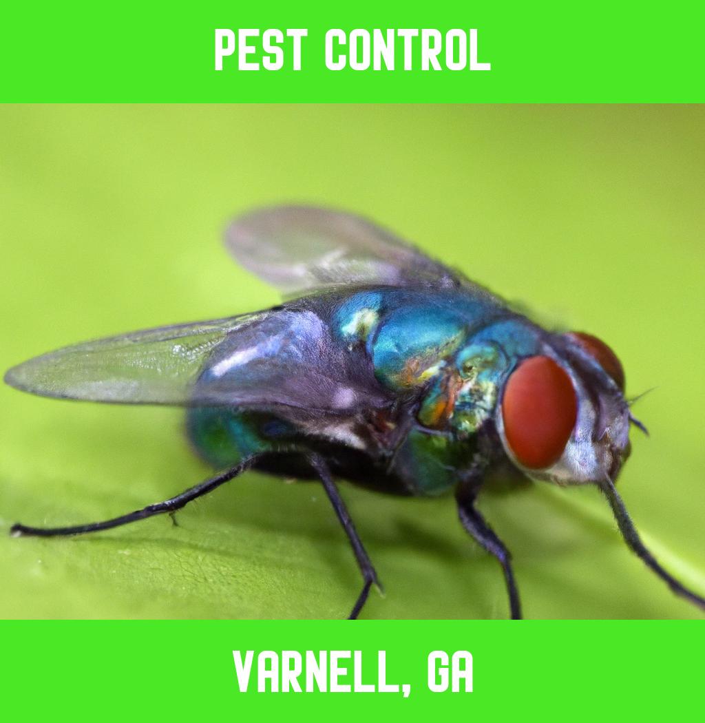 pest control in Varnell Georgia