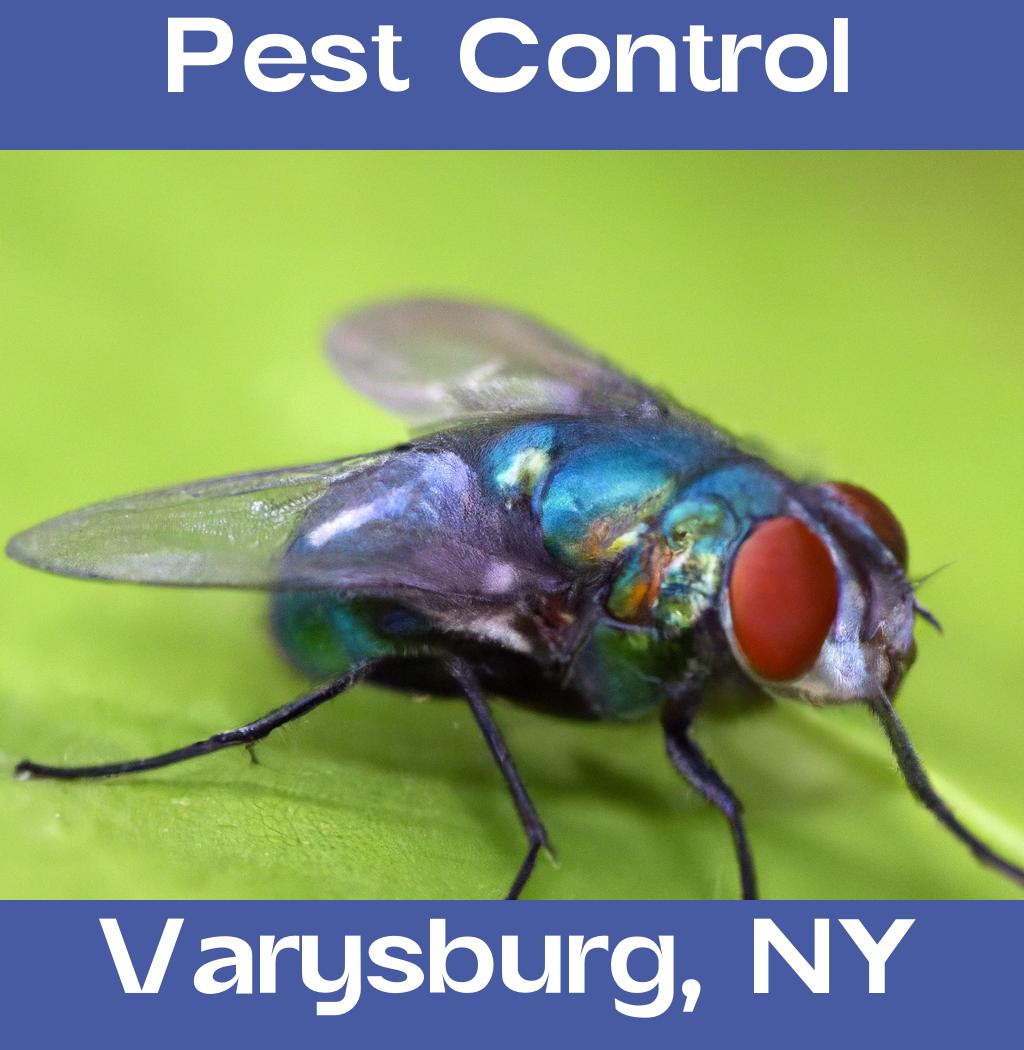 pest control in Varysburg New York