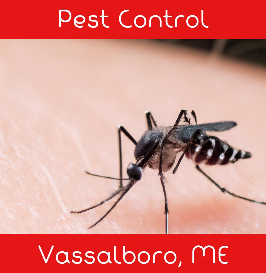 pest control in Vassalboro Maine