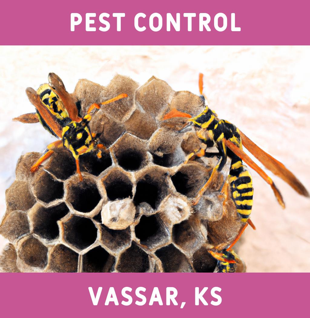 pest control in Vassar Kansas