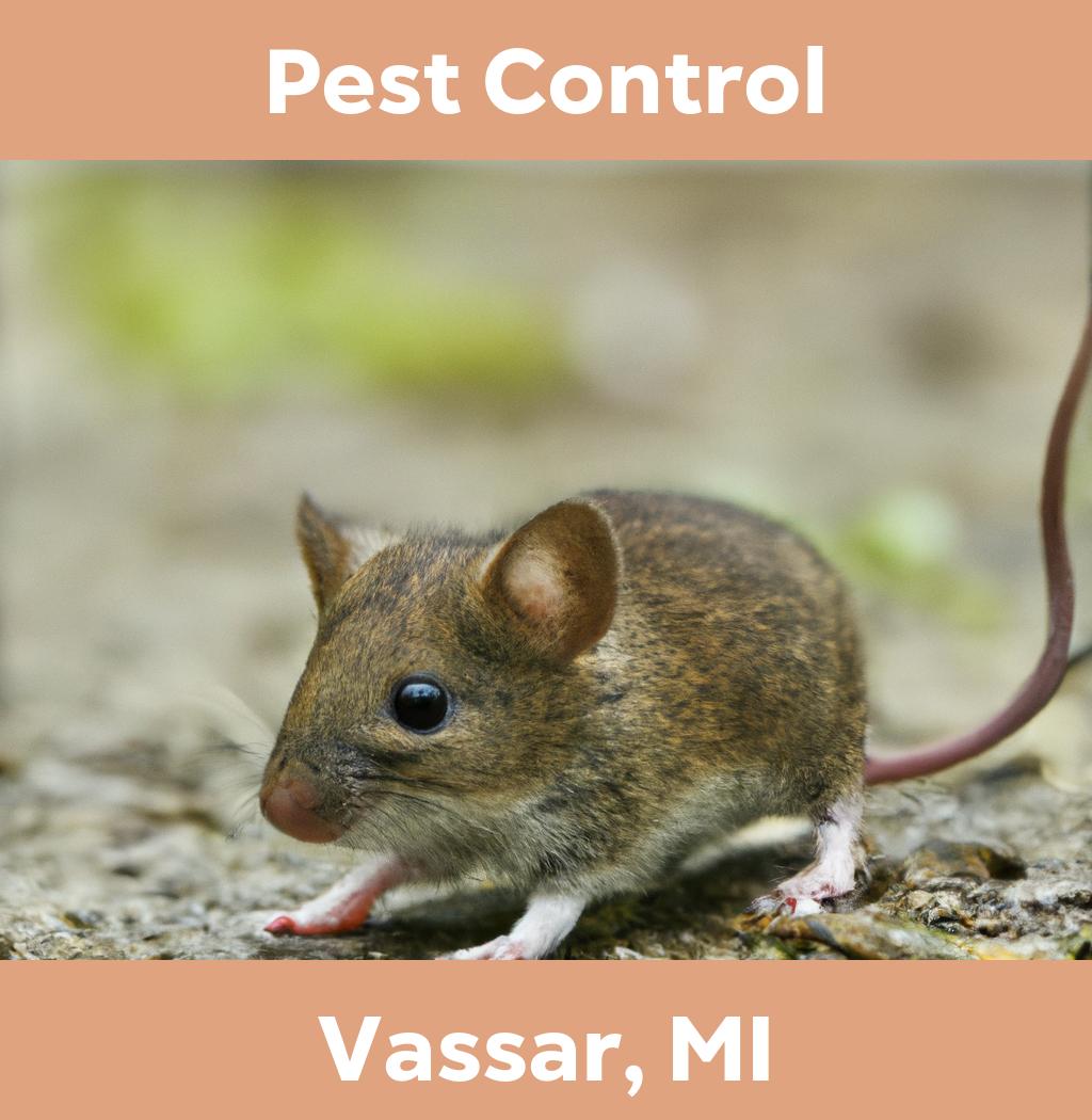 pest control in Vassar Michigan