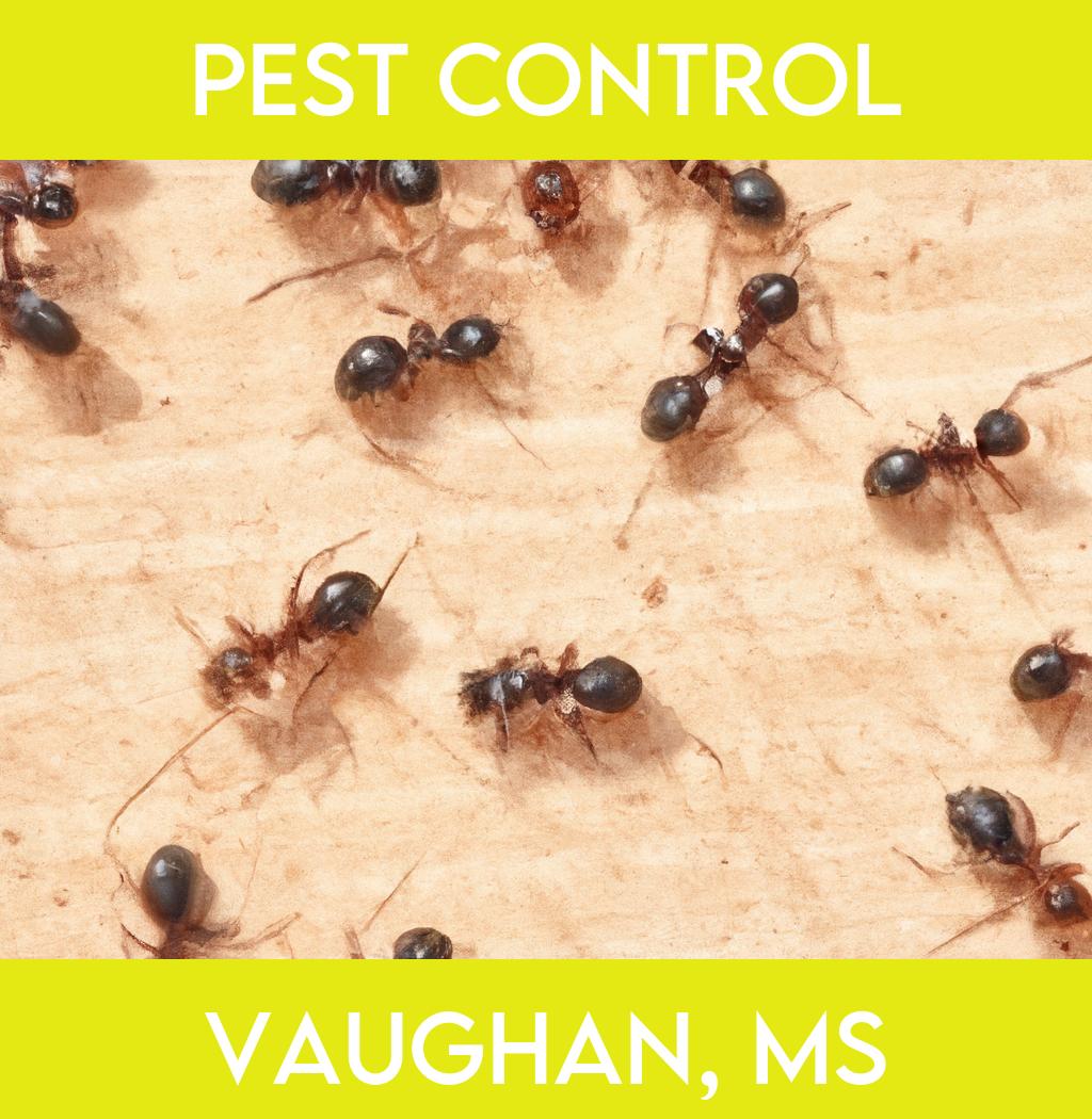 pest control in Vaughan Mississippi