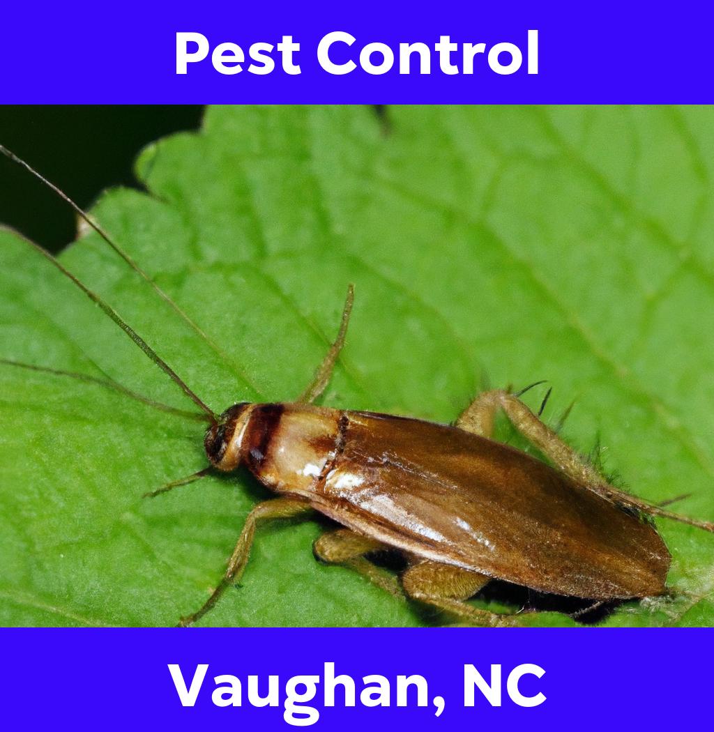 pest control in Vaughan North Carolina