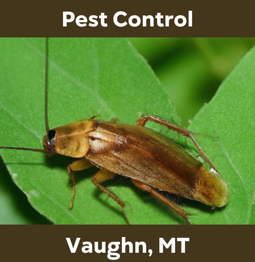 pest control in Vaughn Montana