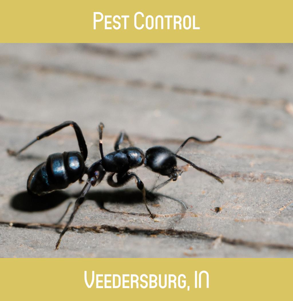 pest control in Veedersburg Indiana