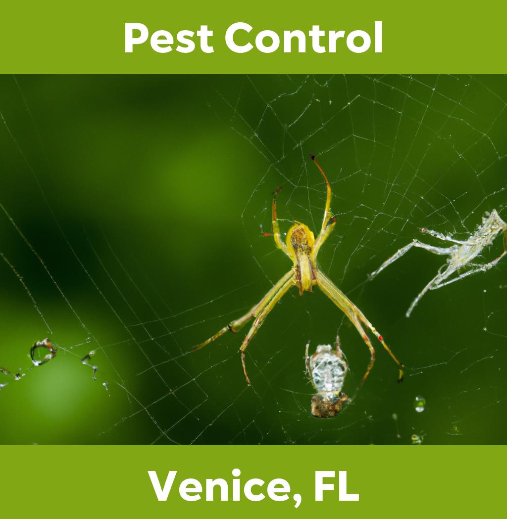 pest control in Venice Florida