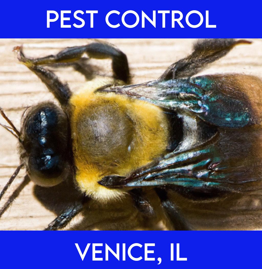 pest control in Venice Illinois