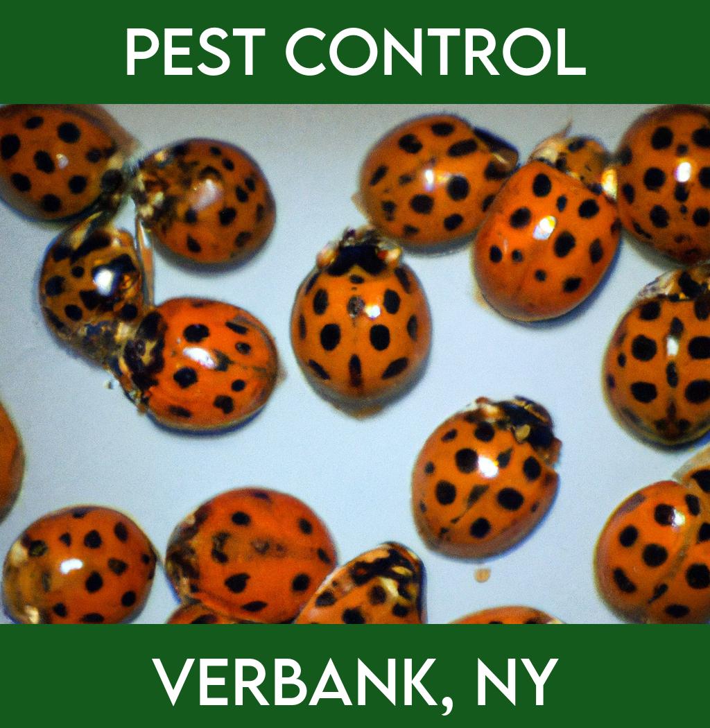 pest control in Verbank New York