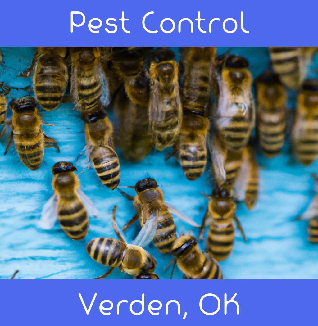pest control in Verden Oklahoma