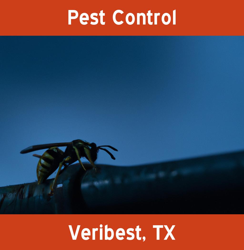 pest control in Veribest Texas