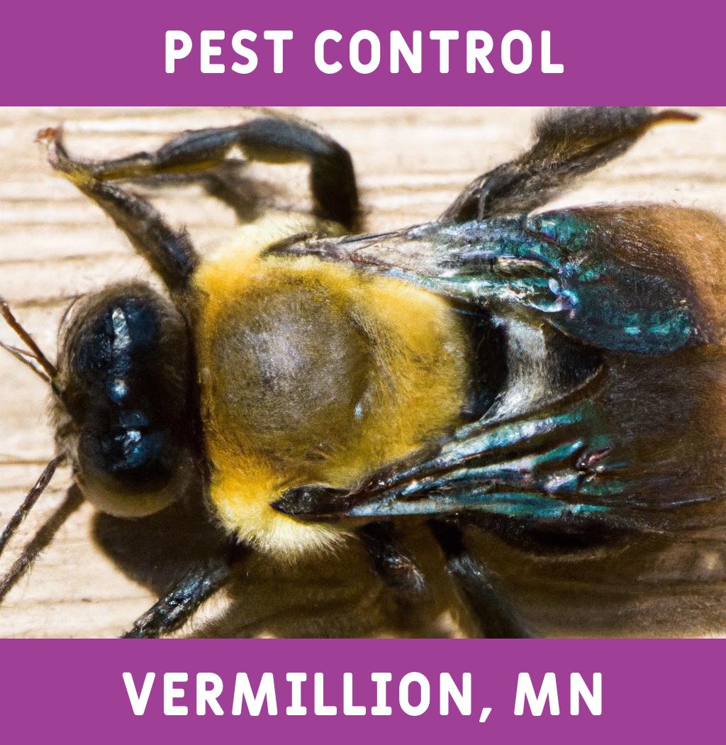 pest control in Vermillion Minnesota
