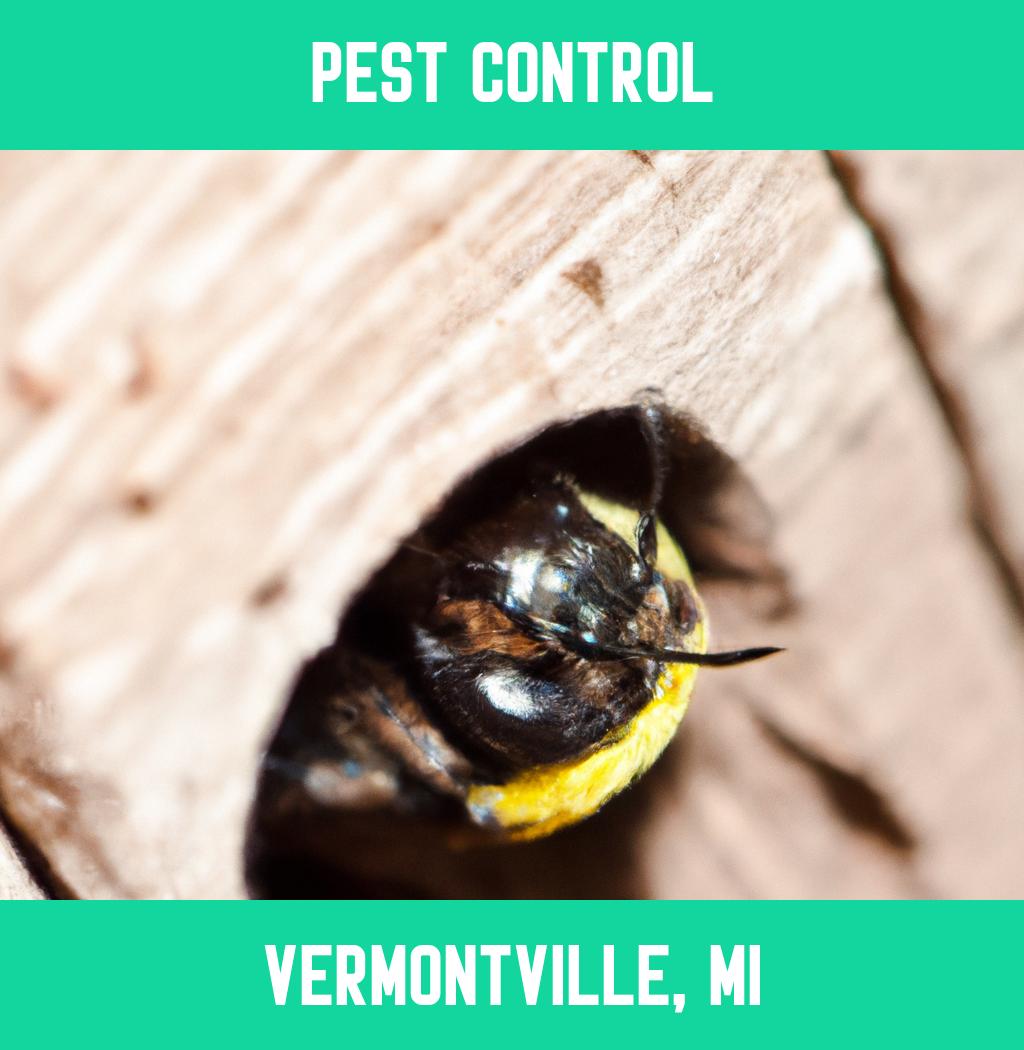 pest control in Vermontville Michigan