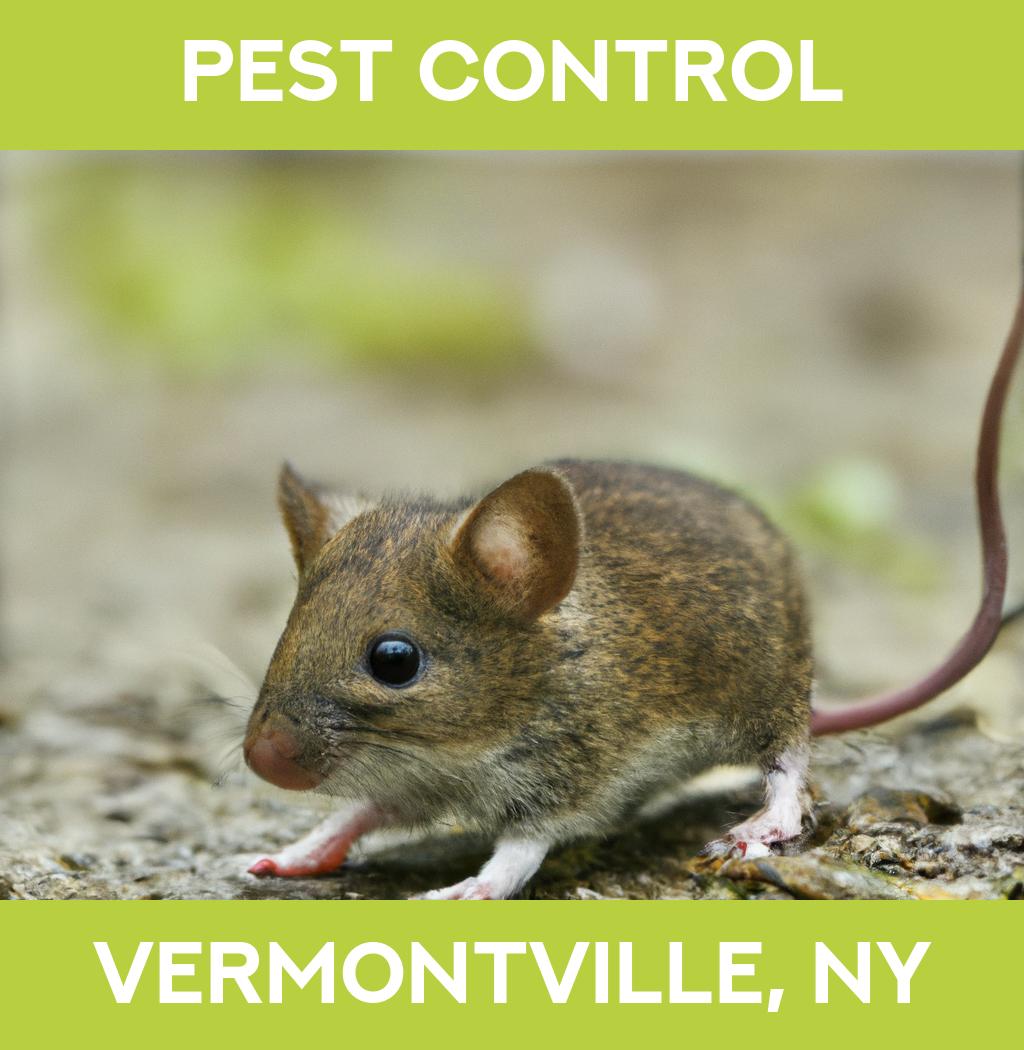 pest control in Vermontville New York