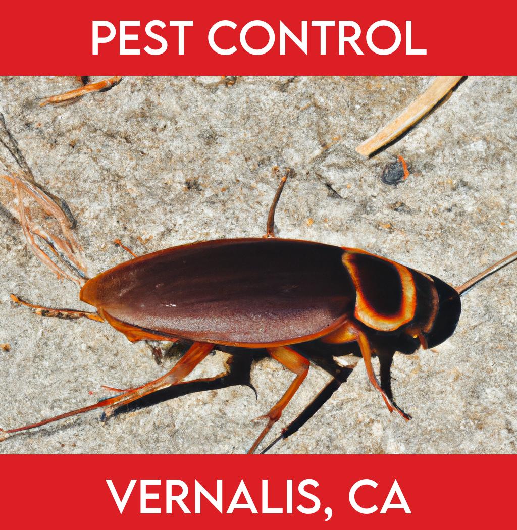 pest control in Vernalis California