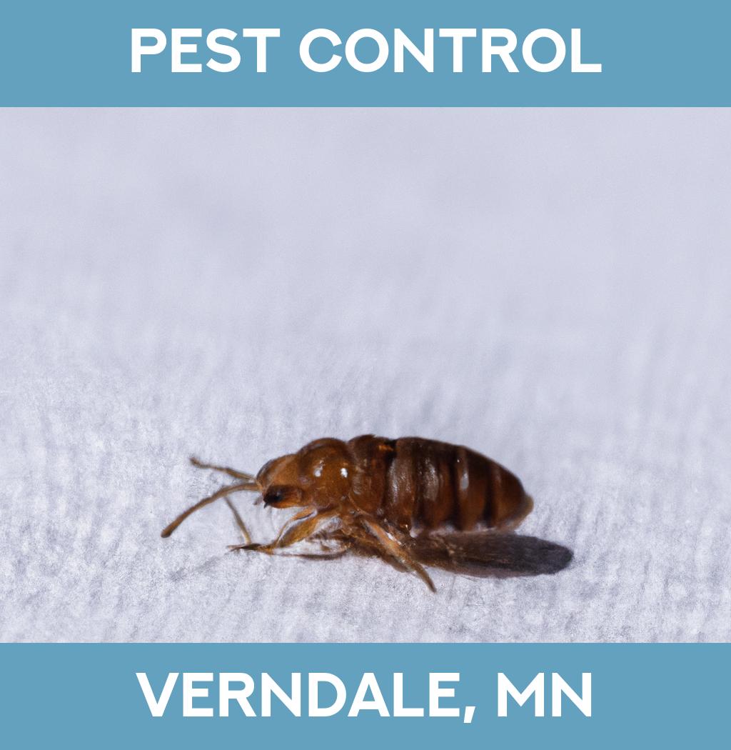 pest control in Verndale Minnesota