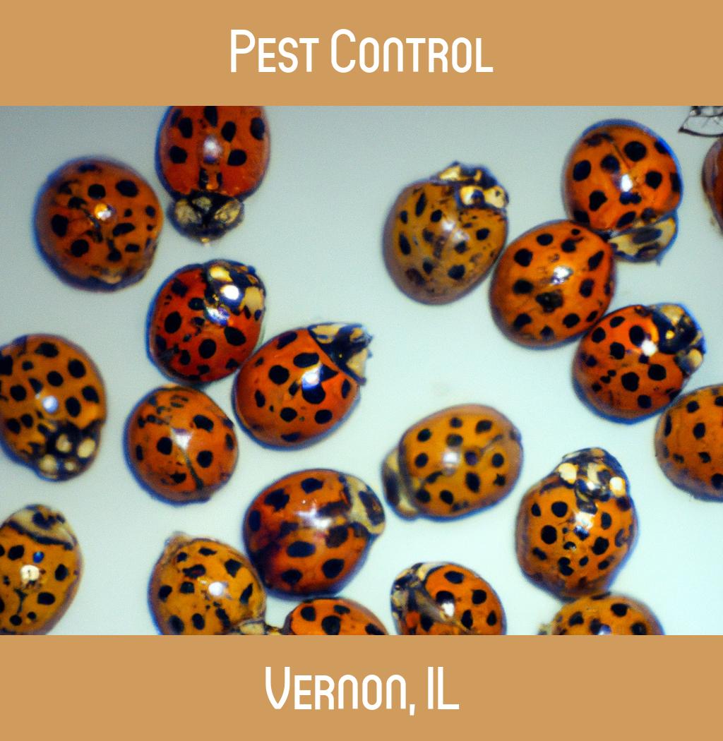 pest control in Vernon Illinois