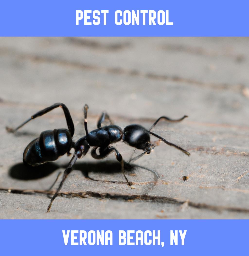 pest control in Verona Beach New York