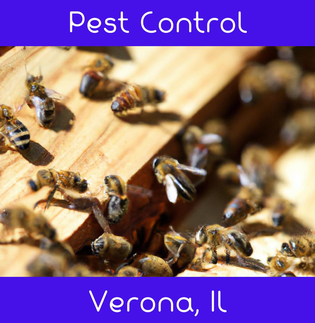 pest control in Verona Illinois
