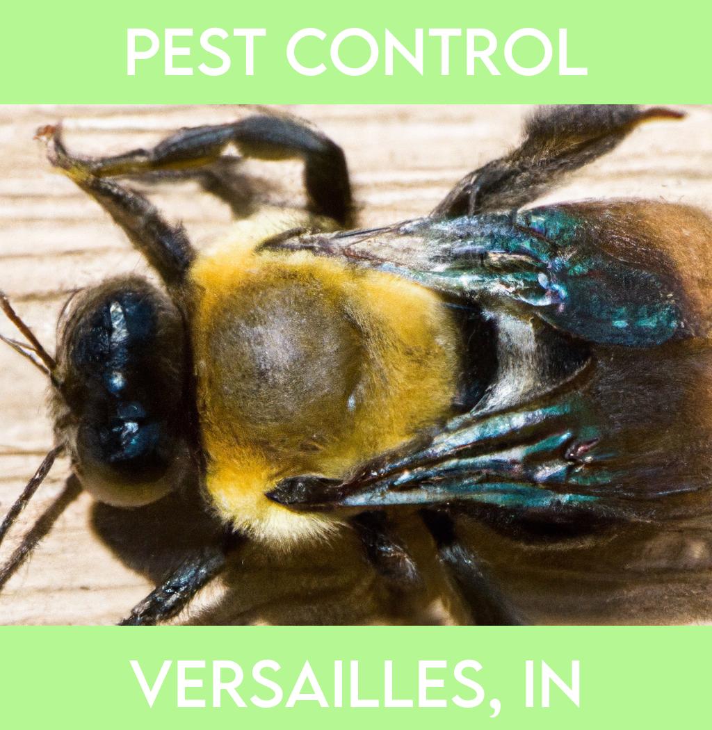 pest control in Versailles Indiana