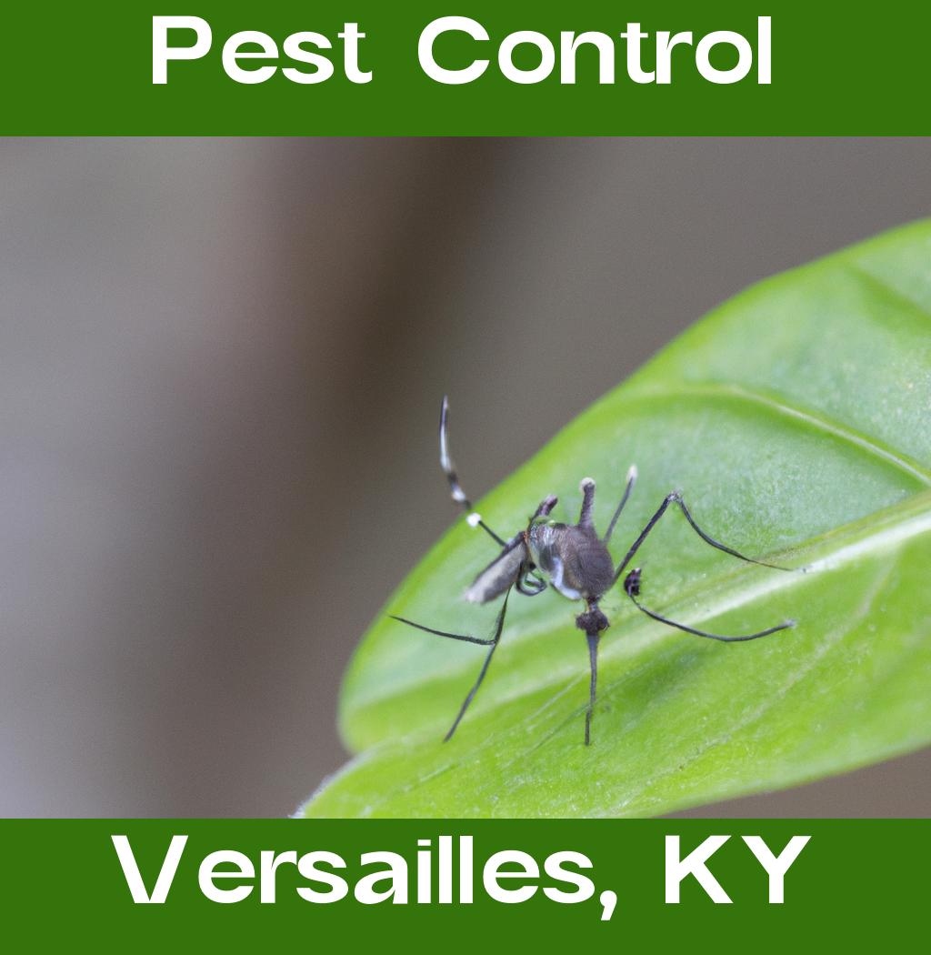 pest control in Versailles Kentucky