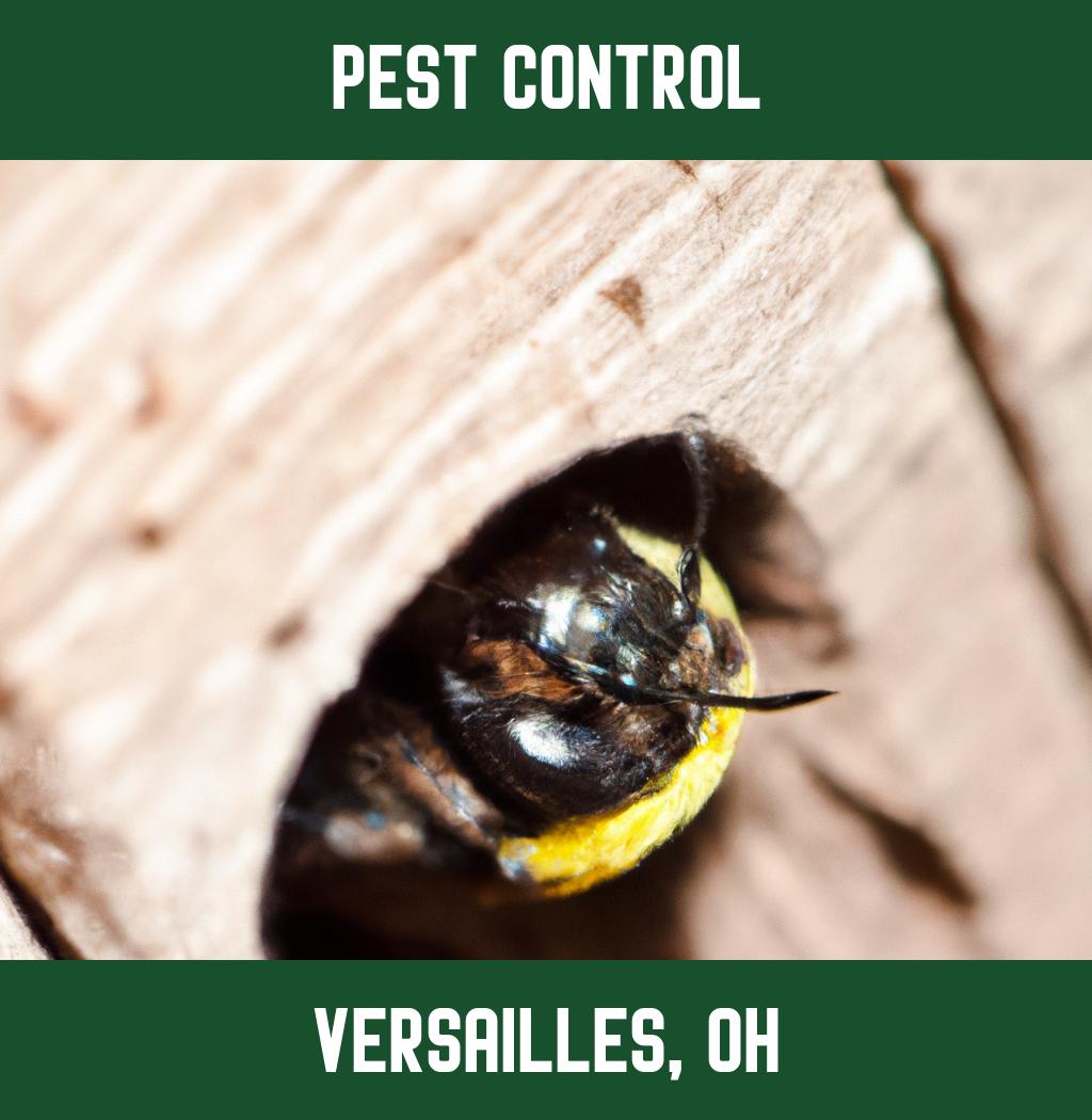 pest control in Versailles Ohio