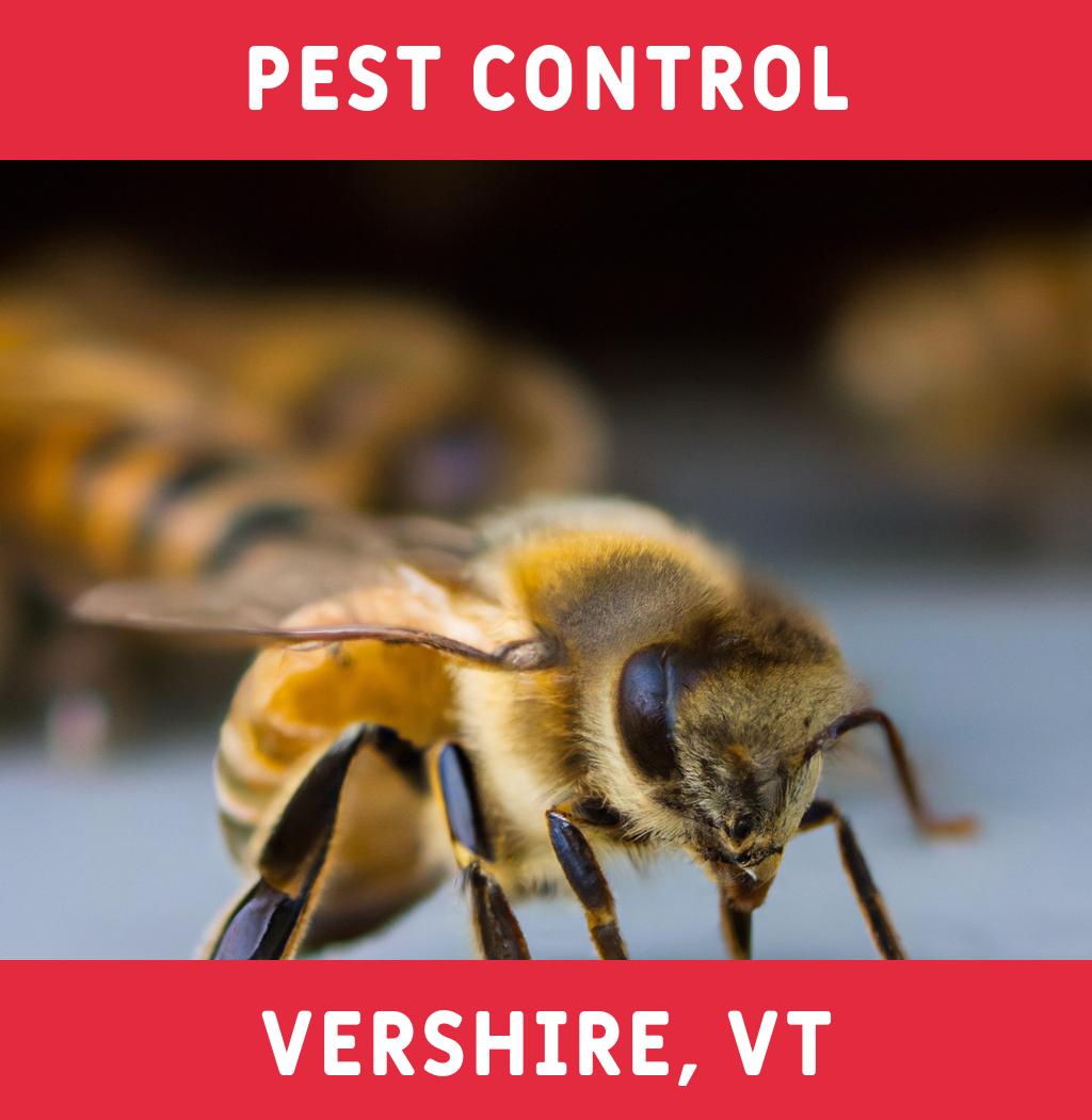 pest control in Vershire Vermont