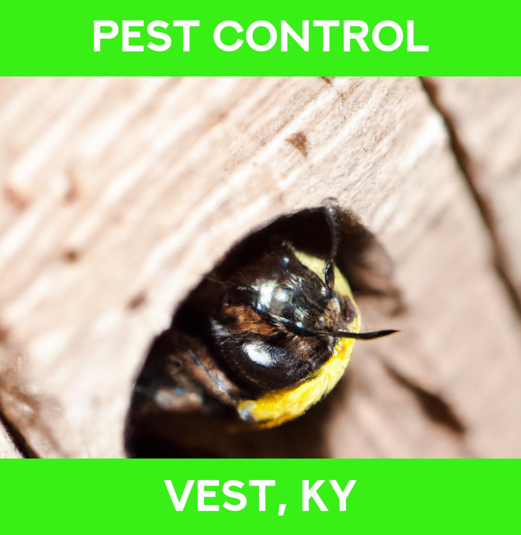 pest control in Vest Kentucky