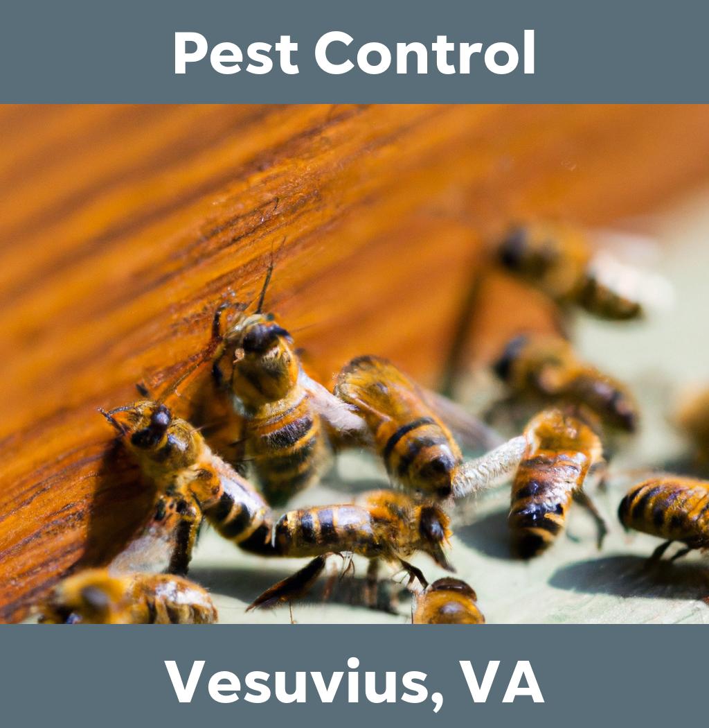 pest control in Vesuvius Virginia