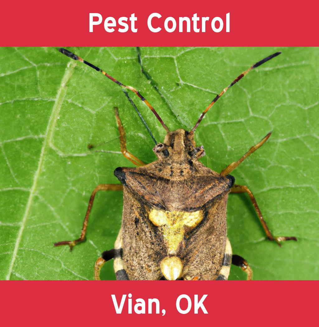 pest control in Vian Oklahoma