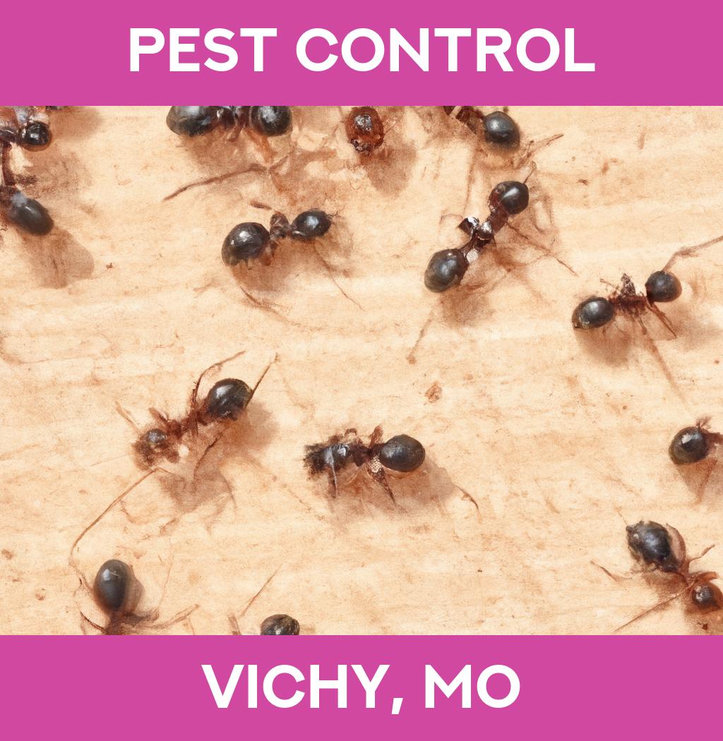 pest control in Vichy Missouri
