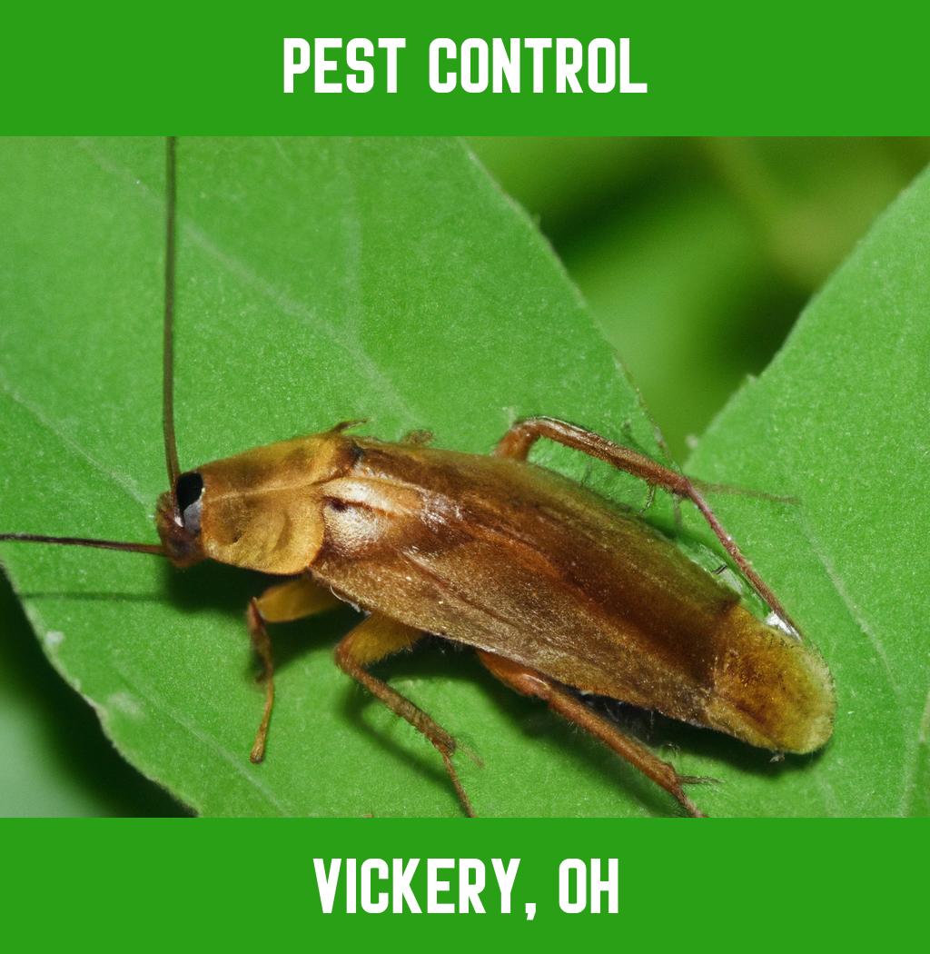 pest control in Vickery Ohio