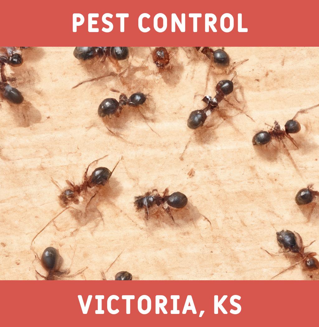 pest control in Victoria Kansas