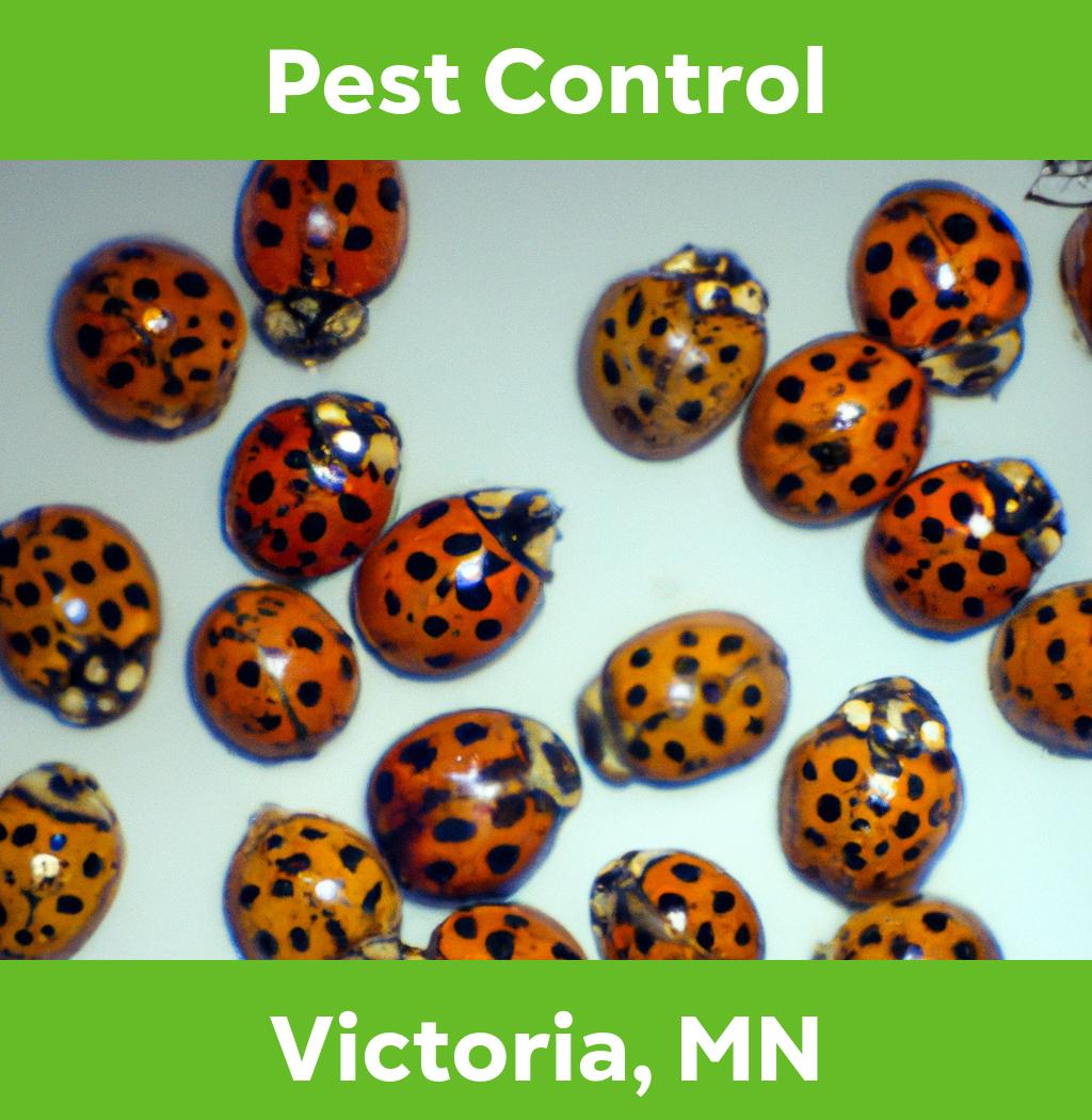 pest control in Victoria Minnesota