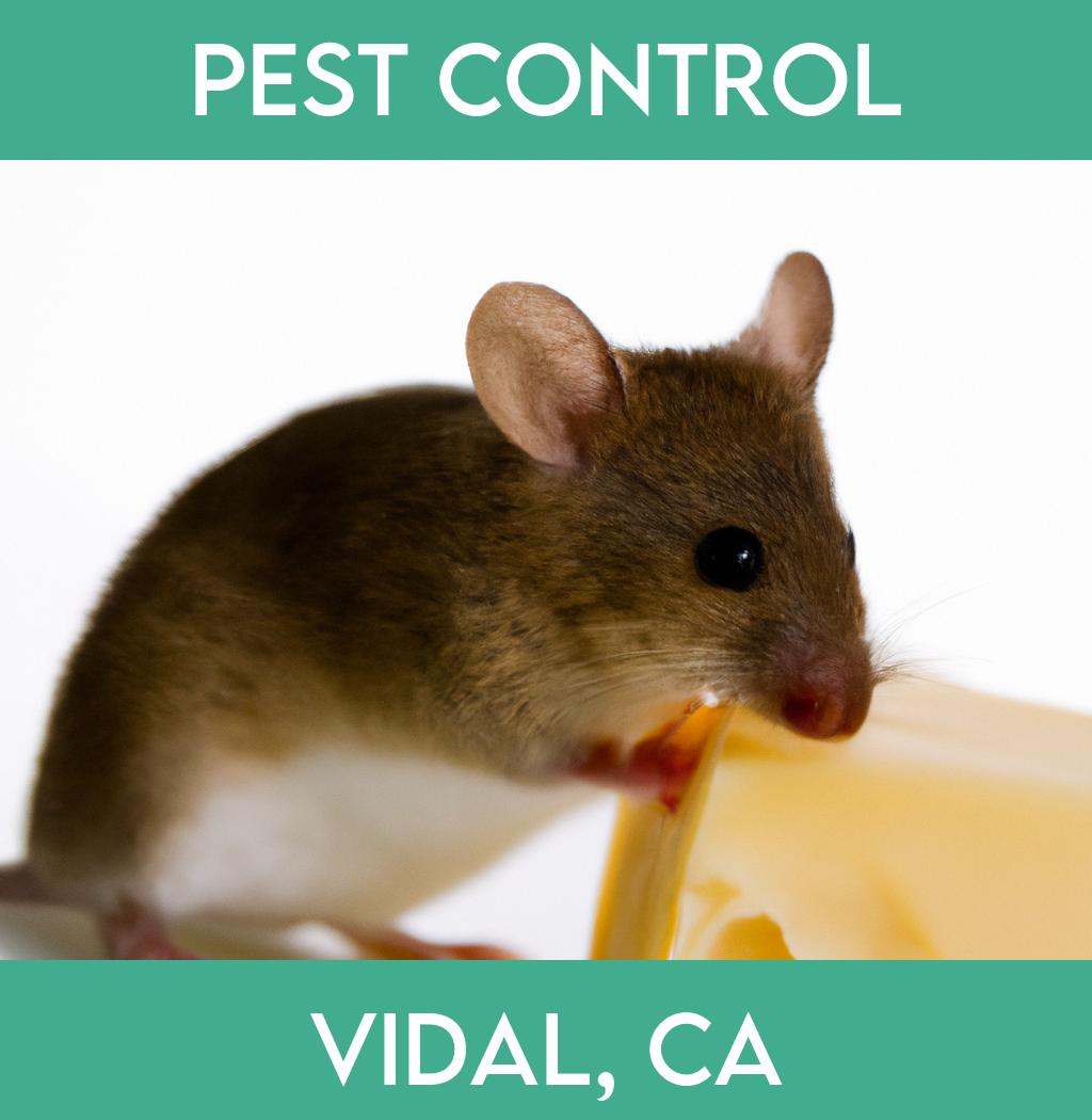 pest control in Vidal California