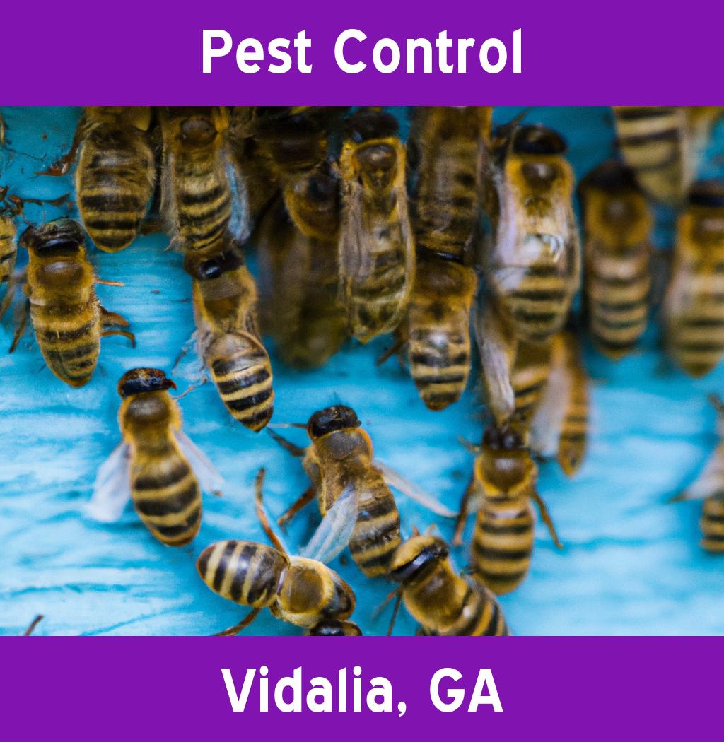 pest control in Vidalia Georgia