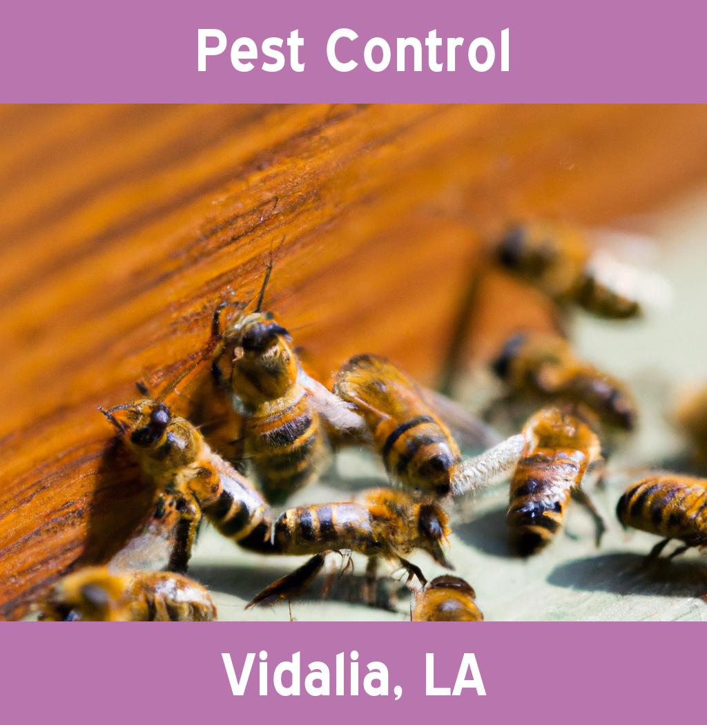 pest control in Vidalia Louisiana