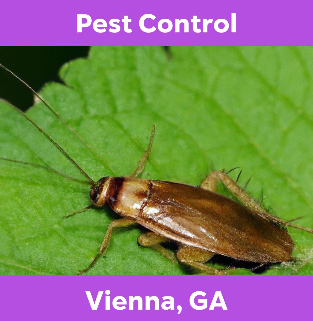 pest control in Vienna Georgia