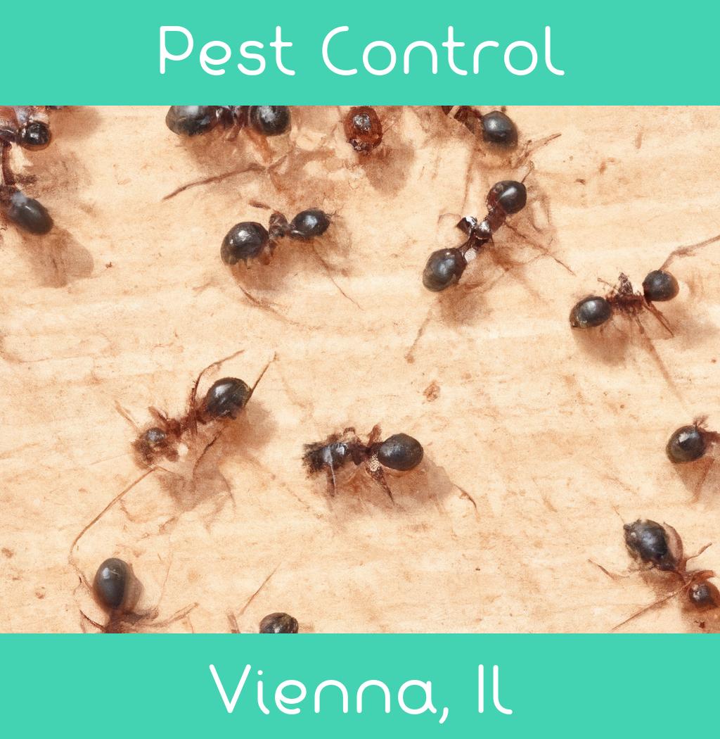 pest control in Vienna Illinois