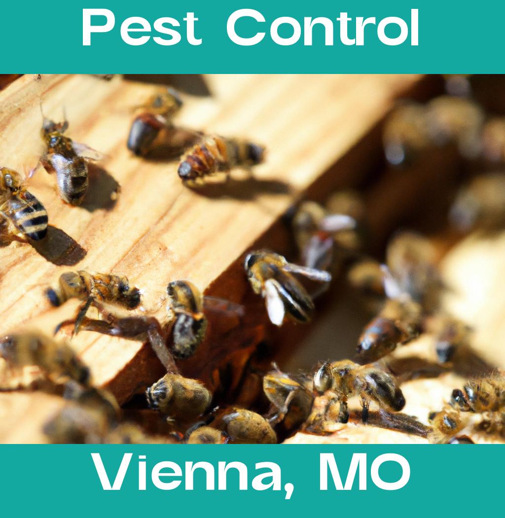 pest control in Vienna Missouri