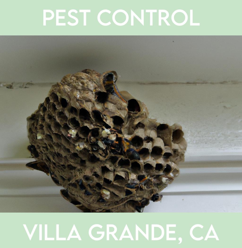 pest control in Villa Grande California