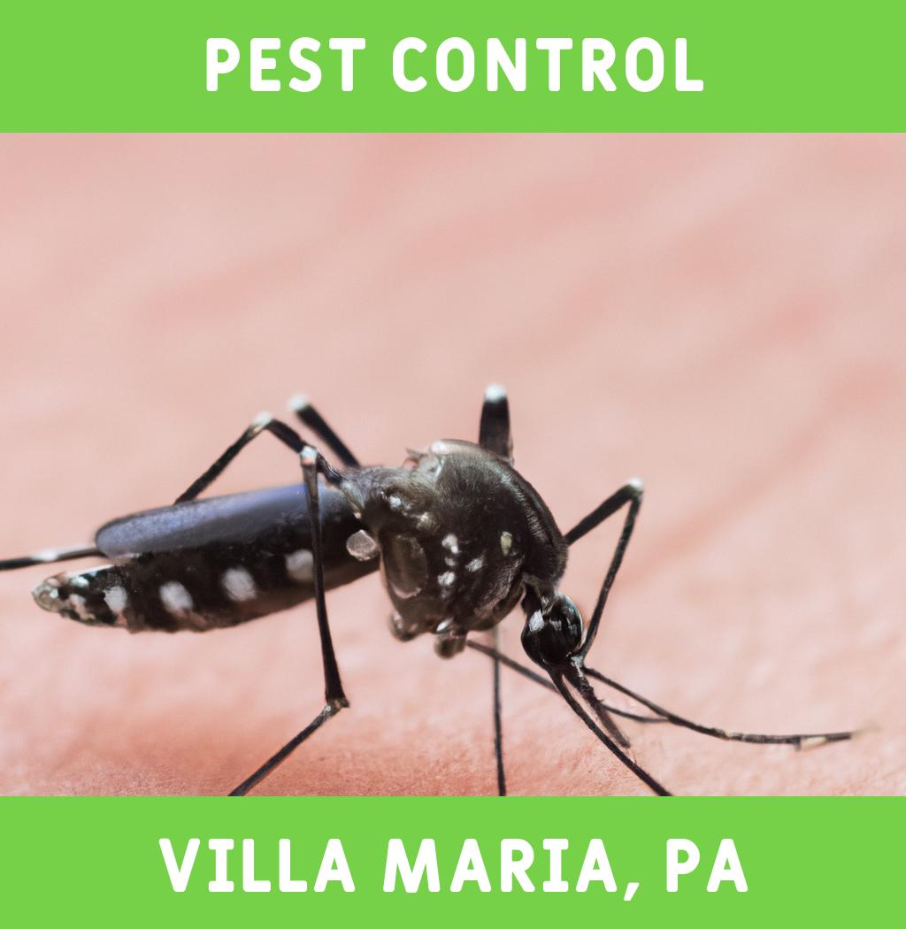 pest control in Villa Maria Pennsylvania